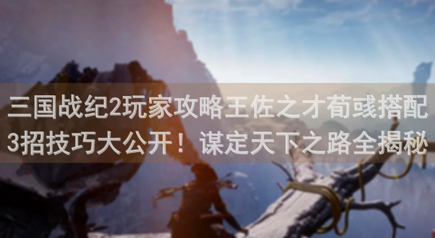 三国战纪2玩家攻略王佐之才荀彧搭配3招技巧大公开！谋定天下之路全揭秘