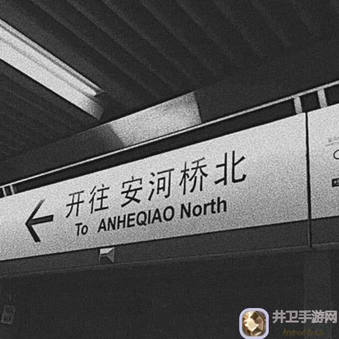 安尼姆探险记：45荆棘血果史诗装备组合攻略，带你轻松通关无尽之旅！